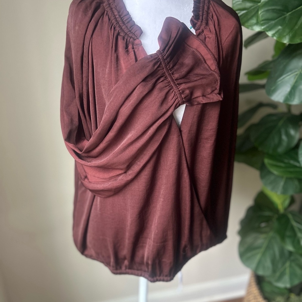 Banana Republic Rich Brown Blouse - Picture 4 of 16